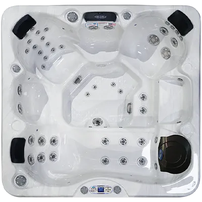 Avalon EC-849L hot tubs for sale in Salinas