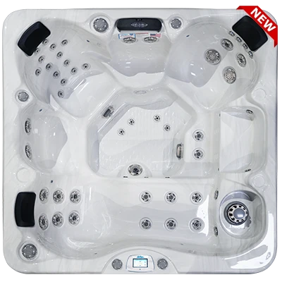 Avalon-X EC-849LX hot tubs for sale in Salinas